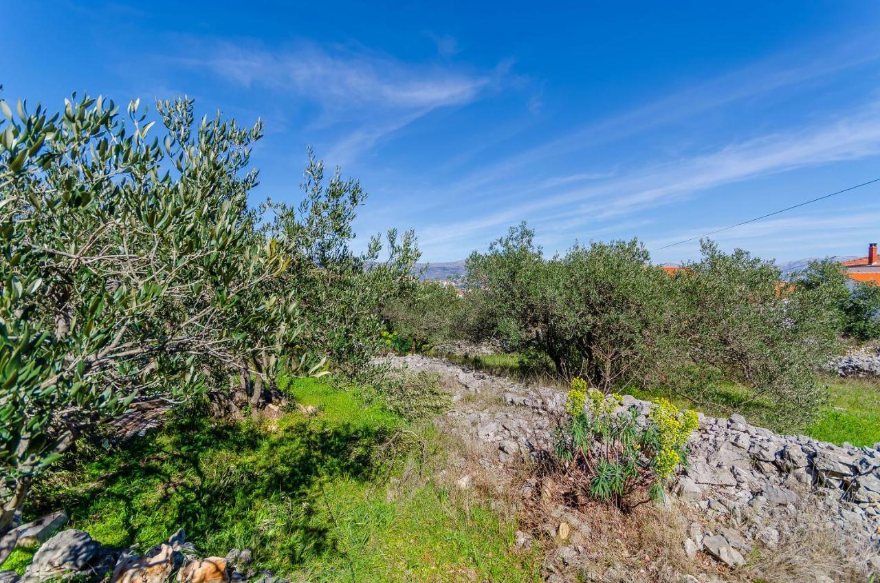 Stara Maslina Apartment Slatine